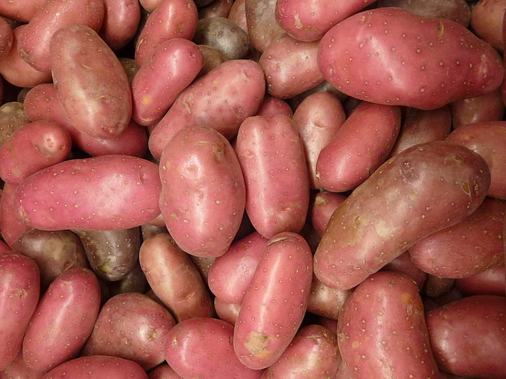 zemiaky, zemiaky, zemiaky, rastlinné, organické, Výživa, prírodné