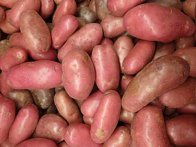 ziemniaki, kartofli, ziemniak, warzyw, organiczne, odżywianie, naturalne