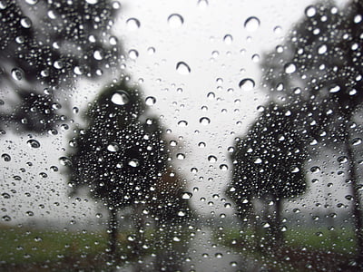 gotas de lluvia, árboles, Fondo, lluvia, naturaleza, de la gota, húmedo