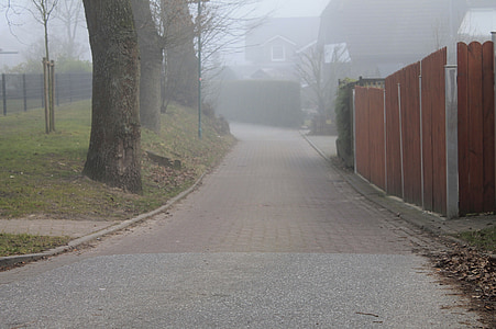 забор, дорога, дерево, туман, атмосфера, утро