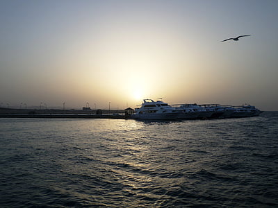 port, in the morning, the silence, sleep, sea, exotic, bird