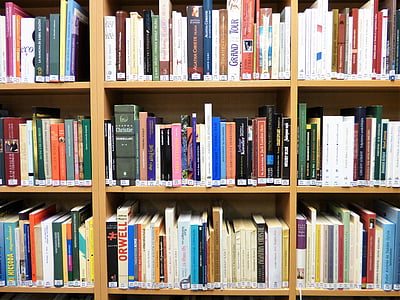 knygų lentynoje, biblioteka, knygos, Katalogas, spalva, kultūra