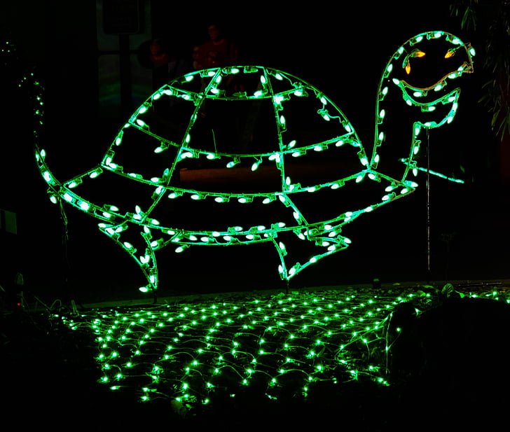 christmas decoration, holiday, turtle, night photography, xmas, ornament, green