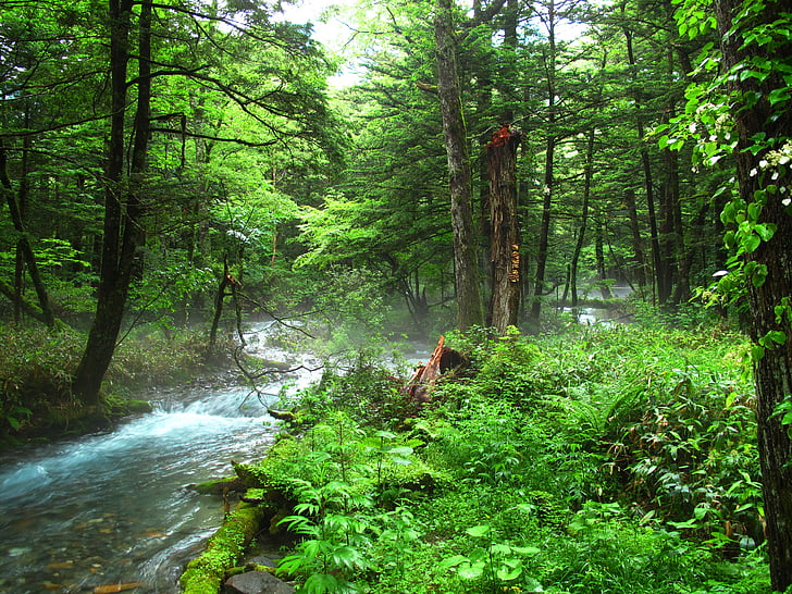 kamikochi, горски къпане, естествени, отрицателните йони, Уудс, река, комфорт