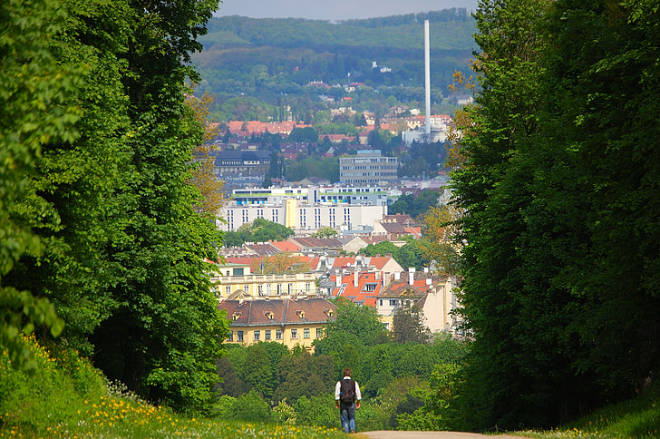 Viedeň, Schönbrunn, Zámocký park, chodník, pútnik, vzdialenosť, túru