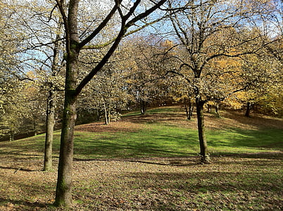Miunchenas, Westpark, medžiai, šlaito, lapai, rudens nuotaika, žalia