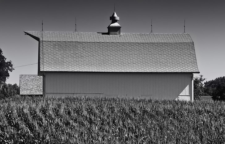Nebraska, saimniecības, lauku, kukurūza, lauks, klēts, arhitektūra