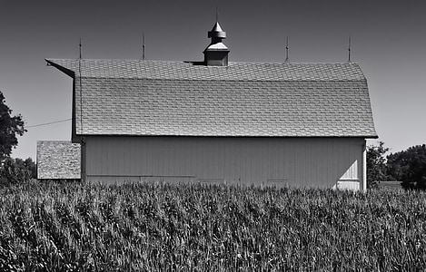 Nebraska, Farm, landdistrikter, majs, felt, stald, arkitektur