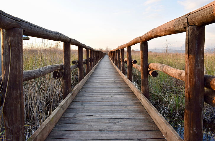 wooden footbridge, footbridge, wooden bridge, ponte di legno, bridge, nature, trail