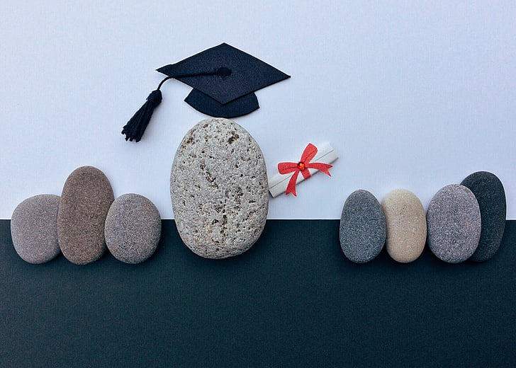 graduation, diploma, education, achievement, graduate, certificate, academic
