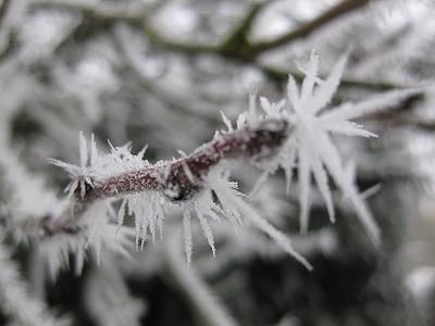 ledenih kristalov, zamrznjeni, hladno, makro, Frost, pozimi, tekstura