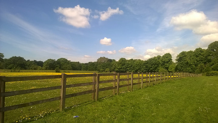 pagar, bidang, pertanian, negara, hijau, rumput, langit