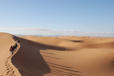 Sahara, Süden, Marokko, Wüste, Sand, Düne, Menschen