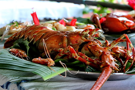 kitchen, crayfish, plate, flat, crustacean, fishing, sea