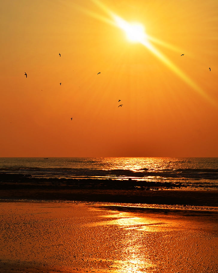 sunset, sea, beach, ocean, water, sun, sky