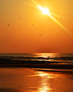 solnedgang, sjøen, stranden, hav, vann, solen, himmelen