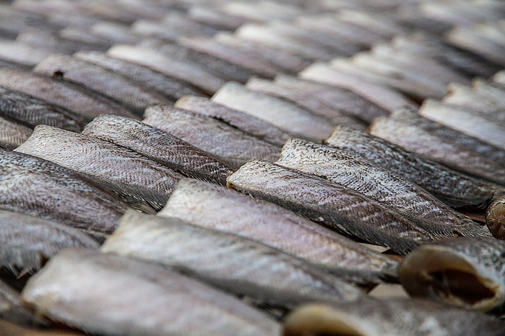 ปลา salit, salit ปลาเค็ม, ปลาแห้ง salit