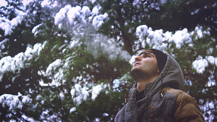 vīrietis, puisis, sniega, pelēkā vārna, auksti, ziemas, koki