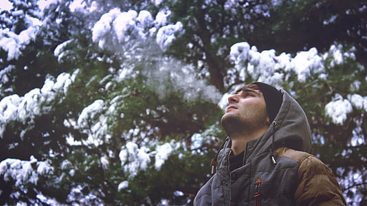 muž, chlap, sneh, mikina s kapucňou, za studena, zimné, stromy