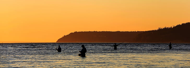 fiskere, solnedgang, vann, fiske, sportsfiskere, fisking, utendørs