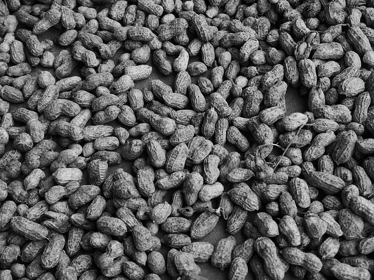 peanut, mad, afgrøde, høst, sort og hvid, baggrunde, close-up