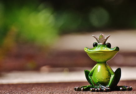 frog, frog prince, crown, figure, cute, funny, sweet