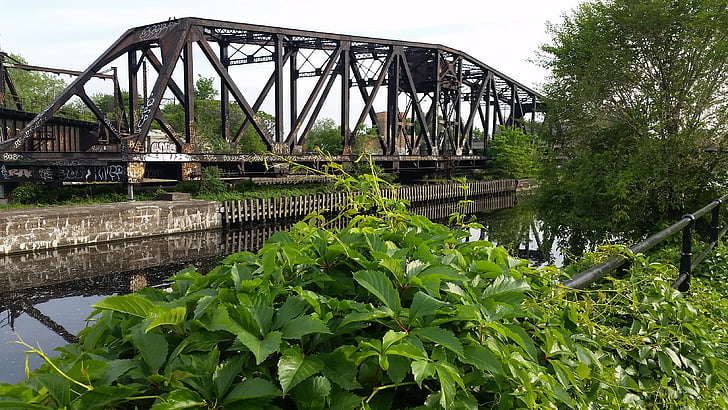 cũ, Bridge, nước, sông, màu xanh lá cây, thực vật