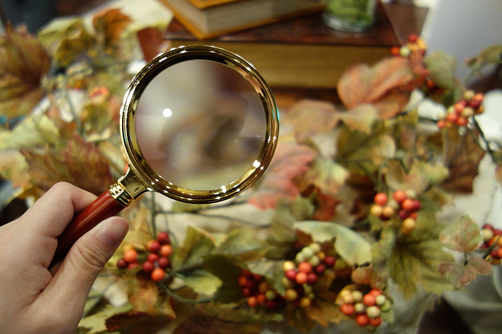 mystery, autumn, magnifying Glass