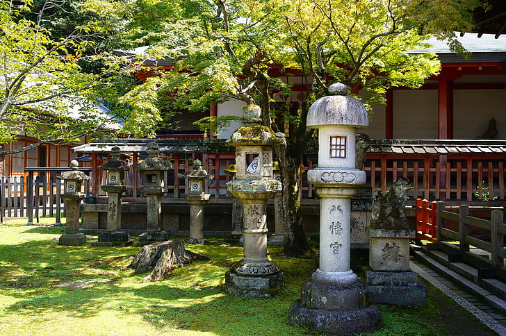 Kyoto, landskap, templet, lönn