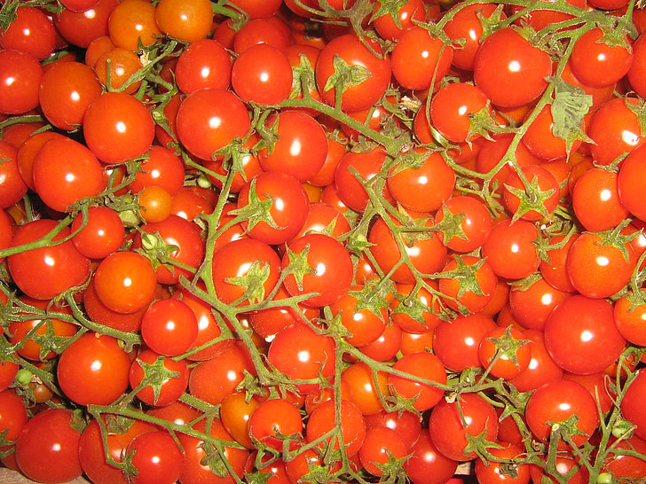 cà chua, trusses, rau quả, ăn chay, thực phẩm, ngon, Frisch