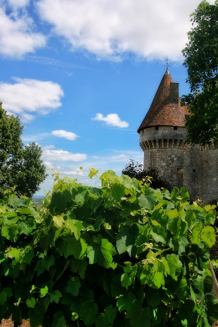 Francija, Dordogne, Périgord, pils, vīnogulāju, monbazillac