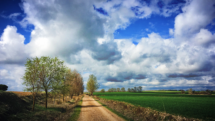 clouds, road, trees, scenery, sky, dirt, green