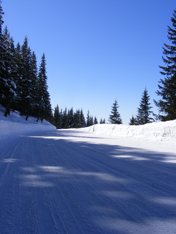 fred, muntanya, carretera, neu, cobert de neu, blanc, viatges