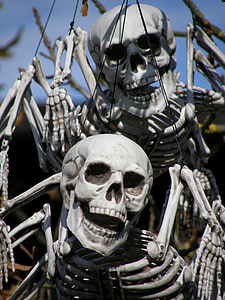 Halloween, Legoland, skeletten, Skull and crossbones, decoratie, douane