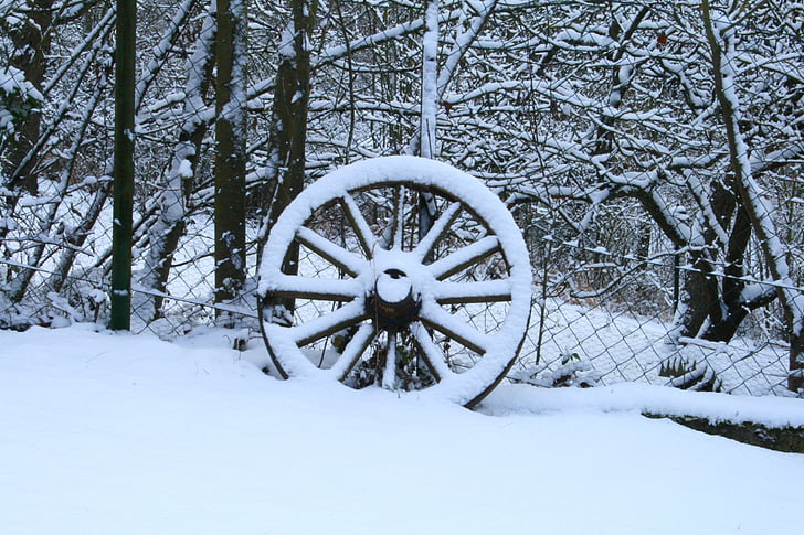 roda, l'hivern, nevat en, cobert de neu, hivernal