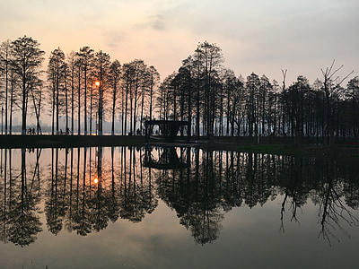 Lago, árvore, reflexão