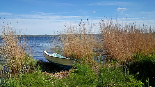 sweden, reed, water, summer, archipelago, boats, sea