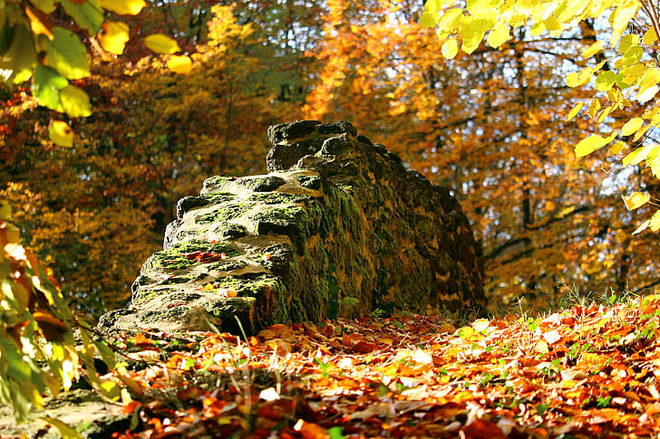 rudens, akmens mūris, rudenī zaļumiem, pils parkā, Ludvigsluste Parhima, grota, zāliena Eizenšteins