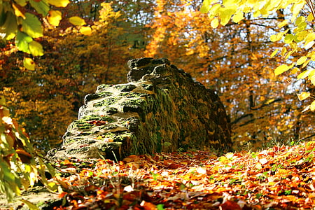 autumn, stone wall, fall foliage, castle park, ludwigslust-parchim, grotto, lawn eisenstein