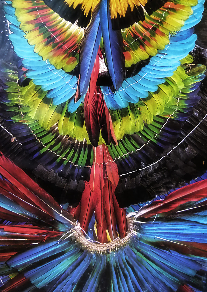 colorido, tocado con plumas, Amazon, nativo, Brasil, selva, tradición