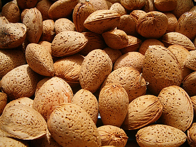 almond, shell, corrugated, drupe, nut, food, nutrition