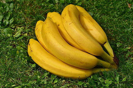 banaanid, puuviljad, puu, terve, kollane, banaani koor, küps
