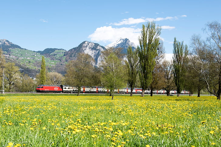 våren, Schweiz, landskap, Glarus, träd, kantonen glarus, bergen