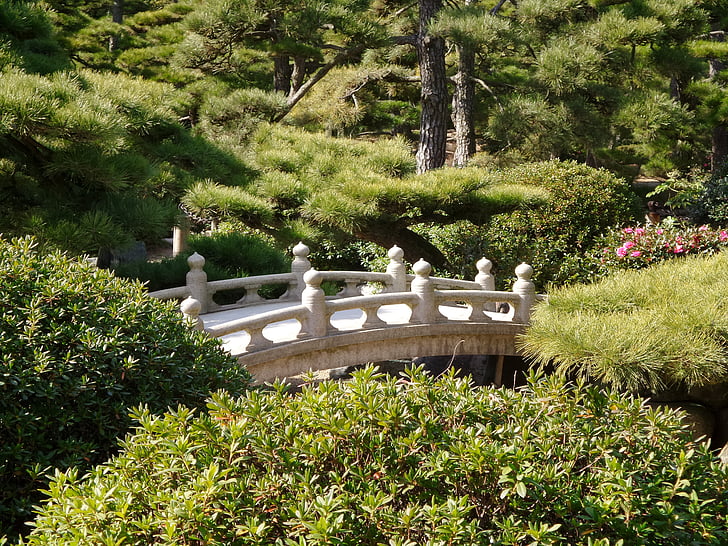Japonés, jardín, puente, tradicional, Zen, verde, Niwa