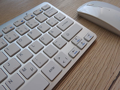 tastaturet, tilkobling, skrivebord, vise, utdanning, elektronikk, Internett