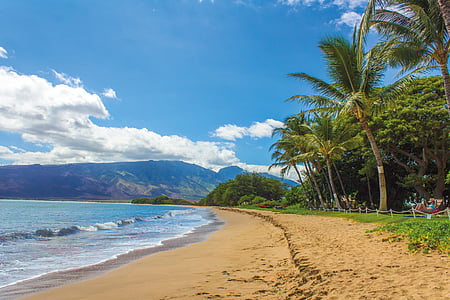 海滩, 景观, 夏威夷, 毛伊岛, 黑, 沙子, 棕榈树