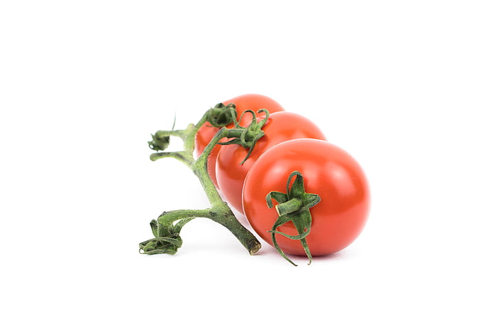 tomato, plant, crops, fruit, red, fresh, leaves