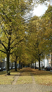 Avenue, Parco, Altona