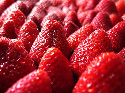 strawberry, red, spring, sweet, fruits, ripe, garden