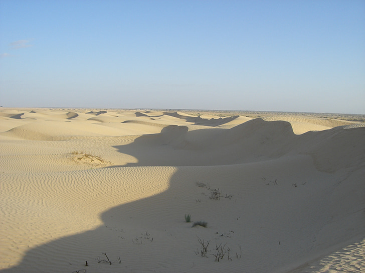 Dune, Tunísia, desert de, sorra, dunes de sorra, sec, natura
